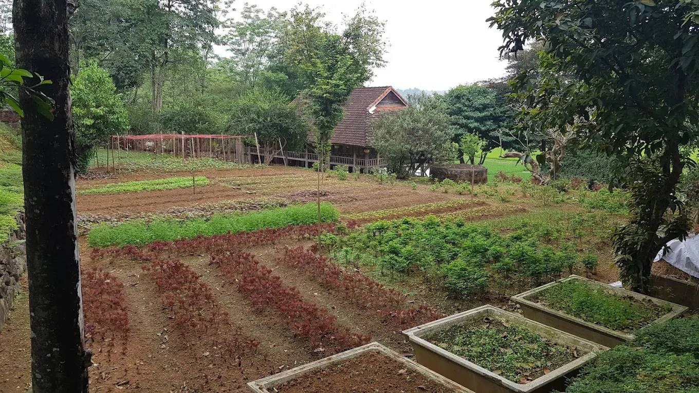 2-Day Hanoi Countryside Bicycle Tour